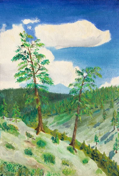 Taiga Summer Larch Slope Hill Large Larch Trees Blue Sky — 스톡 사진