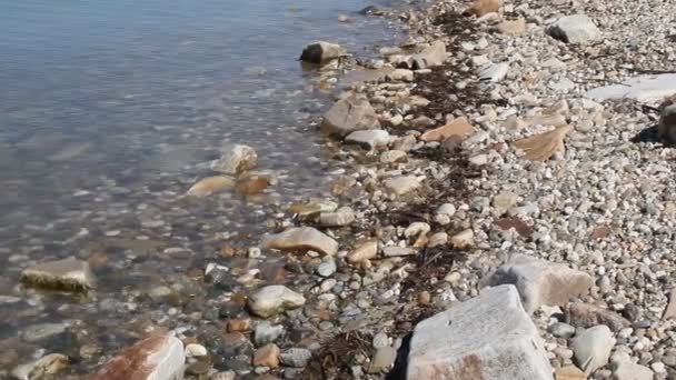 海滩上的一个小浪 — 图库视频影像