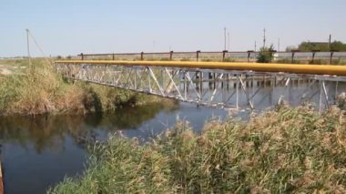 Yazın kanal manzarası var. Kanal bankaları sazlıklarla kaplanmış.