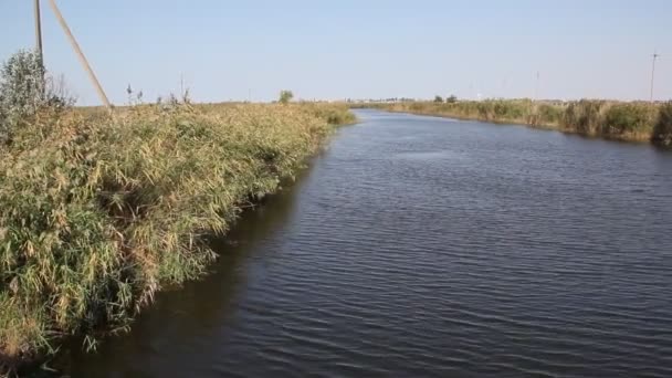 Una Vista Del Canal Verano Las Riberas Del Canal Están — Vídeos de Stock
