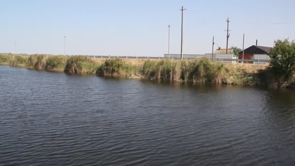 Uitzicht Het Kanaal Zomer Kanaaloevers Zijn Begroeid Met Riet — Stockvideo