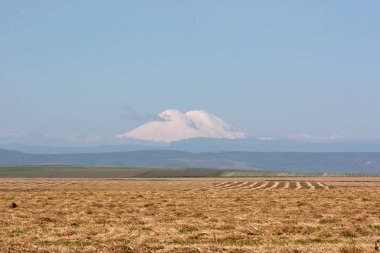 Kırsal alan. Ufukta görünen karla kaplı Elbrus. Elbrus dağı Avrupa 'nın en yüksek zirvesidir.