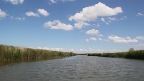 Gefilmd Tijdens Beweging Van Boot Het Kanaal Kanaalbanken Zijn Begroeid — Stockvideo