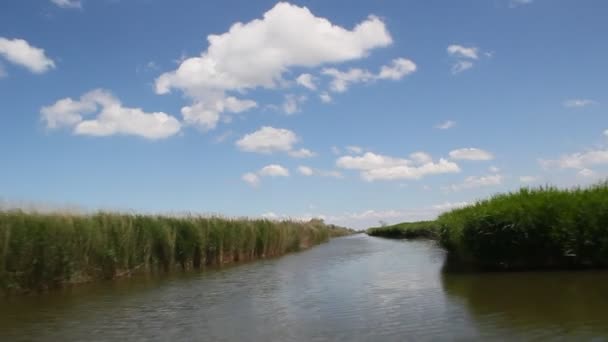 Gefilmt Während Der Bewegung Des Bootes Durch Den Kanal Kanalufer — Stockvideo