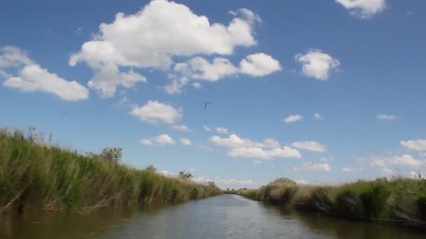 Filmé pendant le mouvement du bateau à travers le canal. Les berges du canal sont envahies par les roseaux 