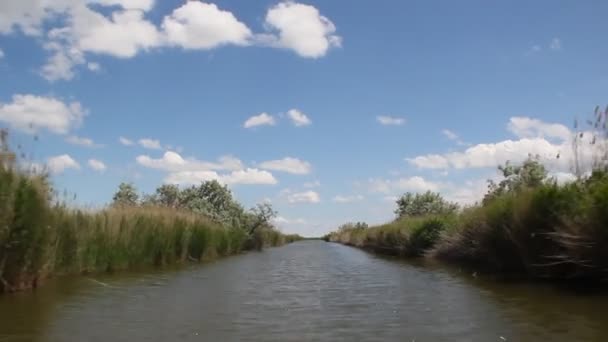 Gefilmd Tijdens Beweging Van Boot Het Kanaal Kanaalbanken Zijn Begroeid — Stockvideo