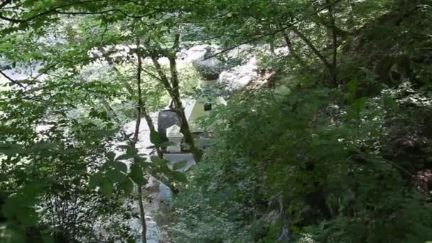 Parc Avec Sentiers Pédestres Grands Arbres Verts Sont Illuminés Par — Video