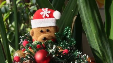 Bir çizme oturan kırmızı bere ayı. Noel oyuncak