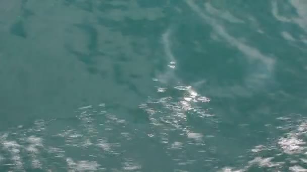Sürat Teknesinin Uyanışı Hızlı Hareket Eden Tekneden Güçlü Dalgalar Çekildi — Stok video