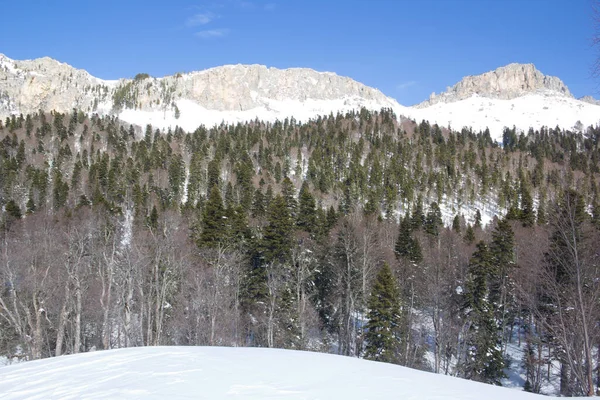 Karla Kaplı Güzel Dağlar Güneşli Bir Gün Soğuk Bir Günde — Stok fotoğraf