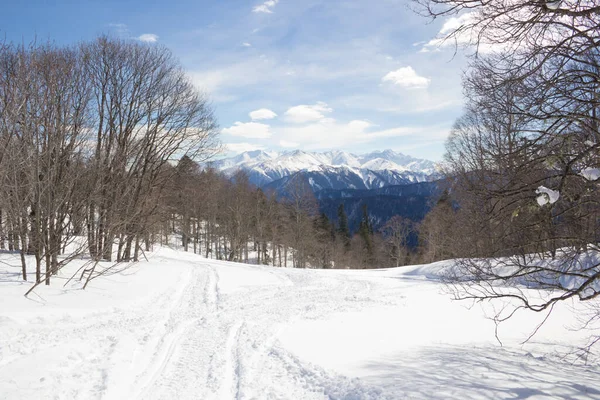 Lindas Montanhas Cobertas Neve Dia Ensolarado Céu Azul Dia Gelado — Fotografia de Stock