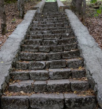 Yaz parkındaki eski taş merdiven.