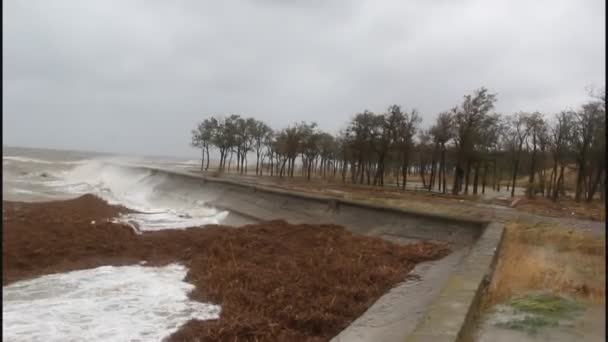 Stora Stormvågor Kraschar Betongstranden Regndroppar Linsen — Stockvideo