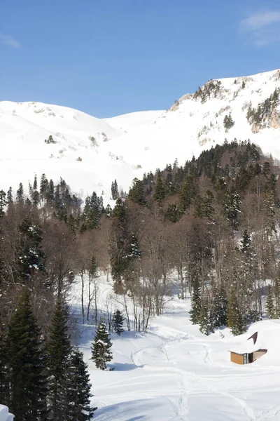 雪に覆われた美しい山 晴れた日と霜の日の青い空 — ストック写真