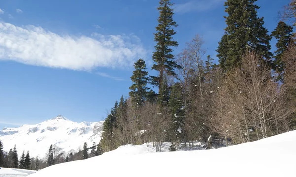 雪に覆われた美しい山 晴れた日と霜の日の青い空 — ストック写真