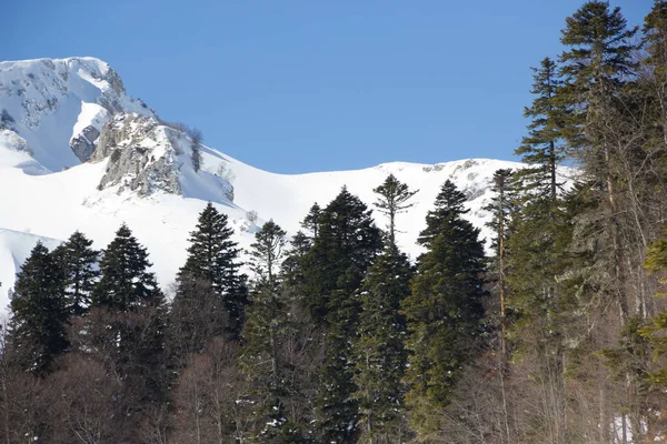 Lindas Montanhas Cobertas Neve Dia Ensolarado Céu Azul Dia Gelado — Fotografia de Stock