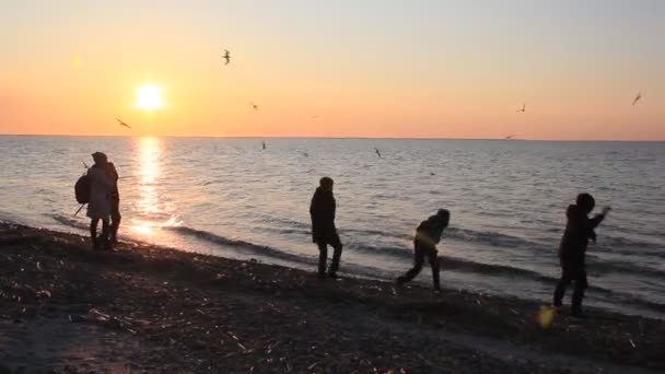 Kinder Rennen Strand Den Strahlen Der Untergehenden Sonne Silhouetten Von — Stockvideo