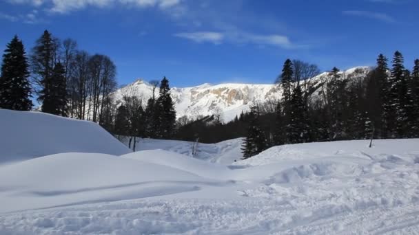 雪に覆われた美しい山 晴れた日と霜の日の青い空 — ストック動画