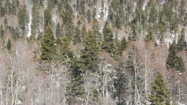 Belles montagnes couvertes de neige. Journée ensoleillée et ciel bleu par une journée givrée 