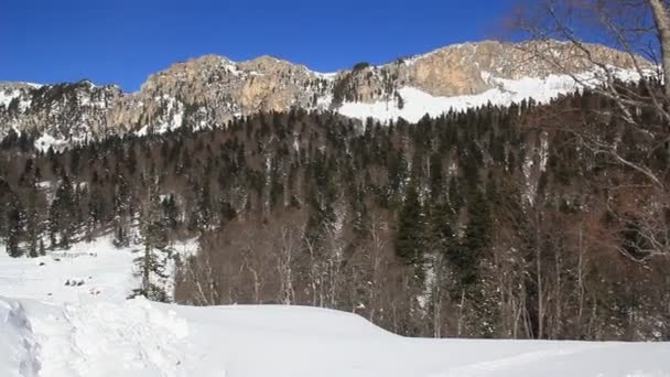 Hermosas Montañas Cubiertas Nieve Día Soleado Cielo Azul Día Helado — Vídeos de Stock