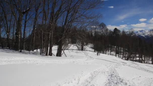 Piękne Góry Pokryte Śniegiem Słoneczny Dzień Błękitne Niebo Mroźny Dzień — Wideo stockowe