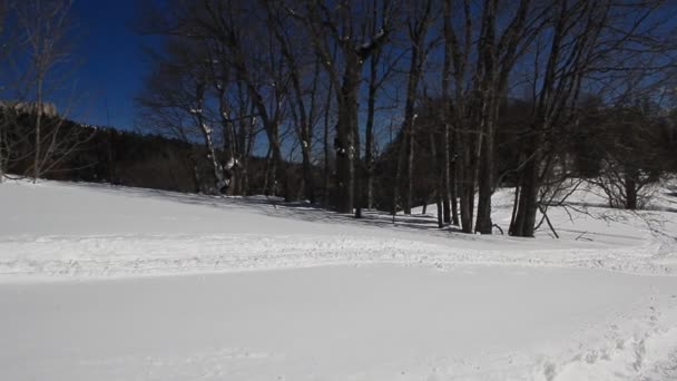 Piękne Góry Pokryte Śniegiem Słoneczny Dzień Błękitne Niebo Mroźny Dzień — Wideo stockowe