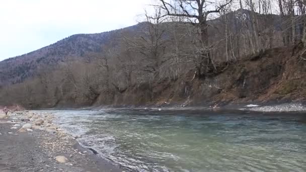 Bouřlivá Řeka Tekoucí Mezi Horami Zarostlými Lesem Časné Jaro — Stock video