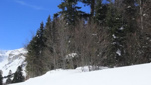 Hermosas Montañas Cubiertas Nieve Día Soleado Cielo Azul Día Helado — Vídeo de stock