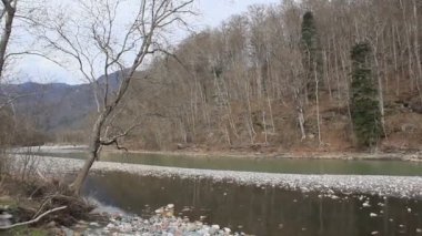 Dağların arasından akan fırtınalı bir nehir ormanla kaplanmış. Baharın başlarında.