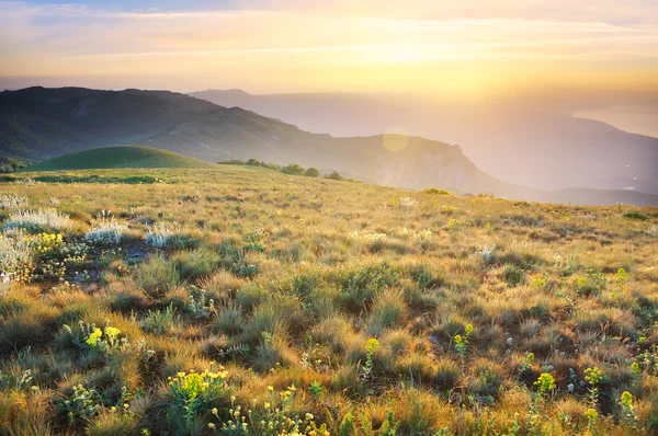 Verano montañas paisaje — Foto de Stock