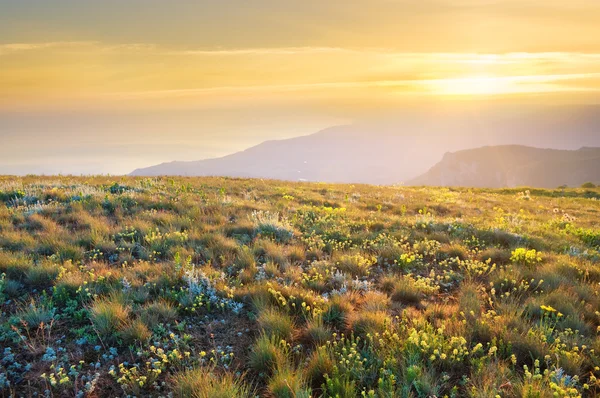 Sunrise in summer mountains — Stock Photo, Image