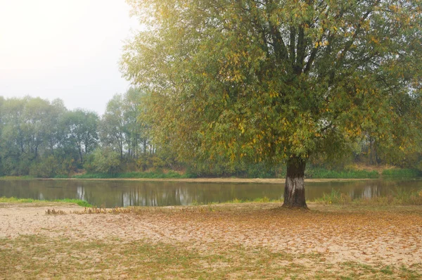 秋の川の風景 — ストック写真