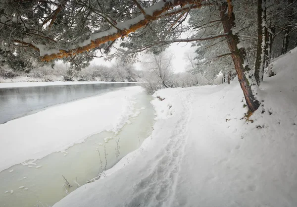 Winter river landscape — Stock Photo, Image