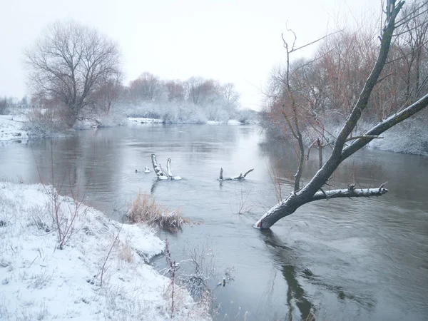 Floden vinterlandskap. — Stockfoto