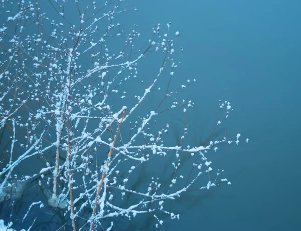 Winter river landscape — Stock Photo, Image