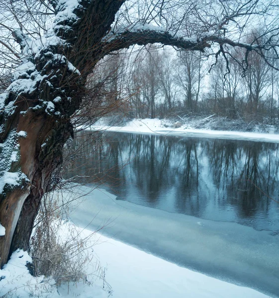 Inverno paisagem fluvial — Fotografia de Stock