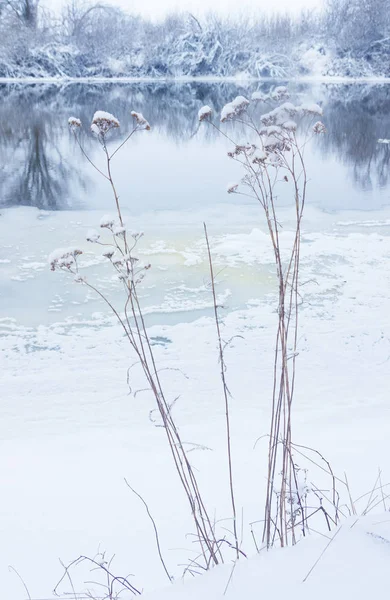 Invierno río paisaje —  Fotos de Stock