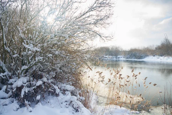 Floden vinterlandskap — Stockfoto