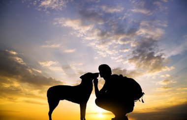 bir köpek ile çocuk