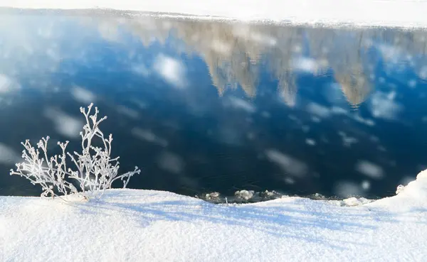 Wintersaison.Zusammensetzung der Natur. — Stockfoto