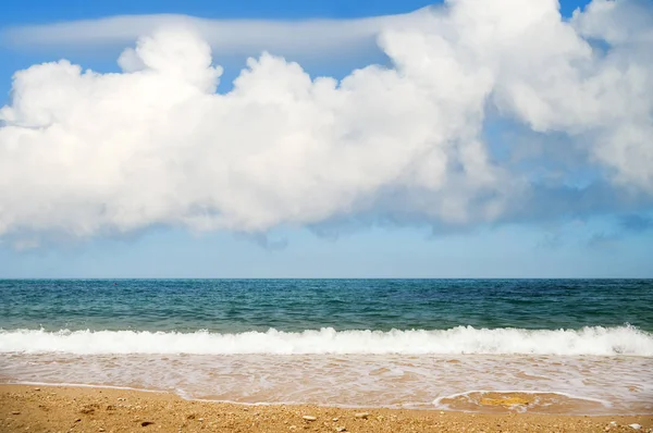 Playa de verano.Composición de la naturaleza . — Foto de Stock