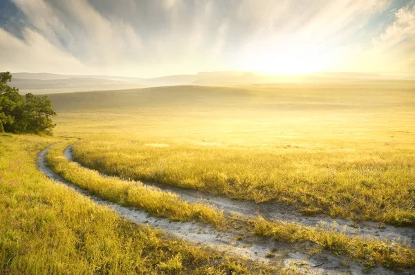 Lane in meadow and sunrise.Nature composition. — Stock Photo, Image