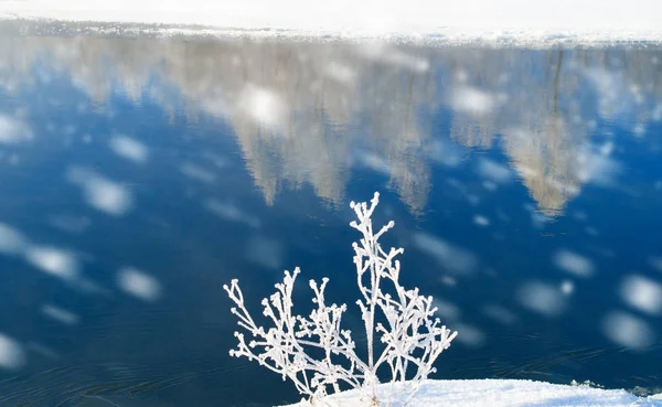 Estação de inverno.Composição da natureza . — Fotografia de Stock