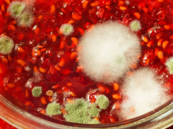 Mold on the poor quality of the raspberry jam — Stock Photo, Image