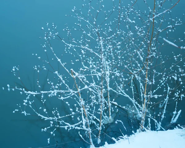Χειμώνα στον ποταμό. Φύση σύνθεση. — Φωτογραφία Αρχείου