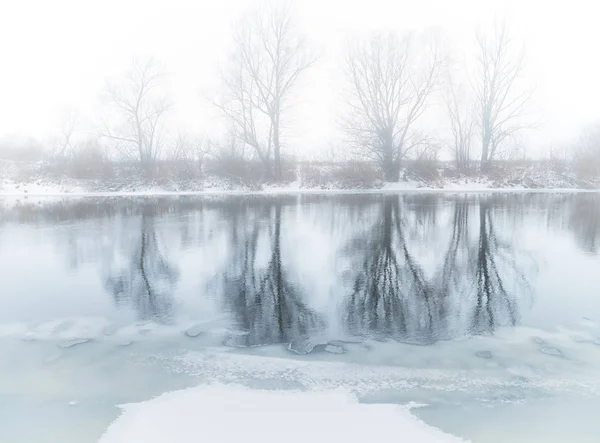 Zimní řeka. Přírodní složení. — Stock fotografie