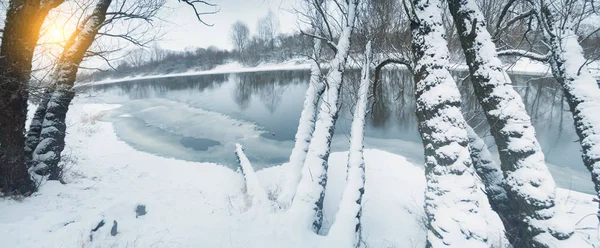 Paisagem de inverno no rio. Composição natural . — Fotografia de Stock
