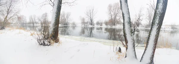 冬の風景。自然組成. — ストック写真