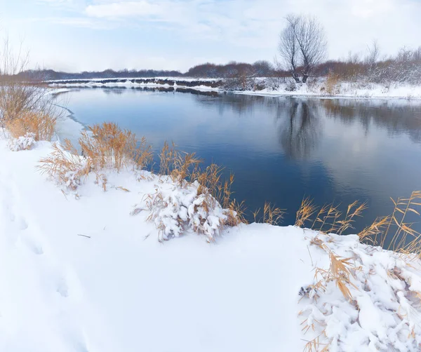 Χειμώνα στον ποταμό. Φύση σύνθεση. — Φωτογραφία Αρχείου