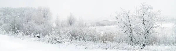 凉爽的冬季景观 — 图库照片